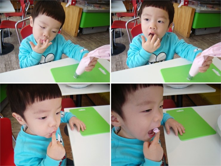 단하나무 이미지