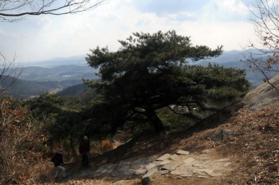 아모스화원 이미지