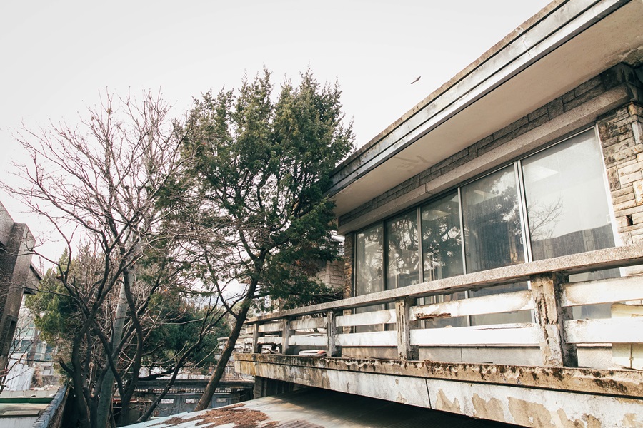 디 카페(D CAFE) 이미지