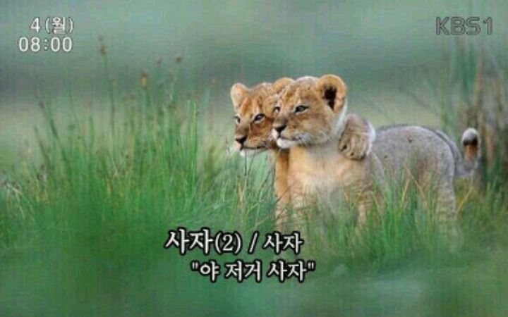 매생이집 이미지