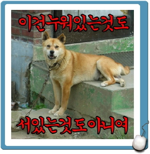 양군팩토리 이미지