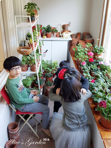 꽃아줌마 이미지