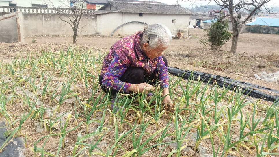 연자연 이미지