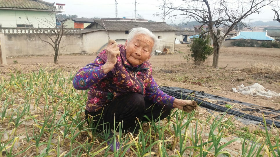 연자연 이미지
