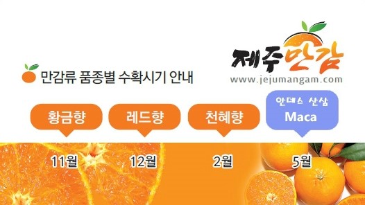 대성농산물 이미지