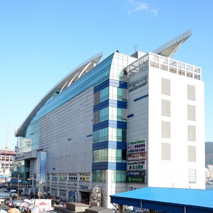자갈치회센타 이미지
