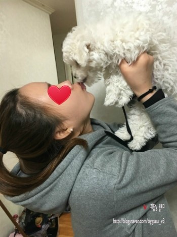 일초불닭발 이미지