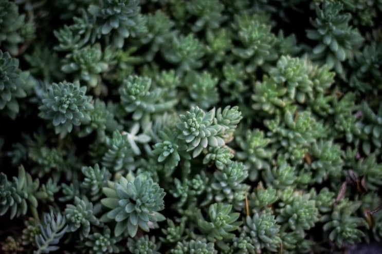 자연 NATURE 이미지