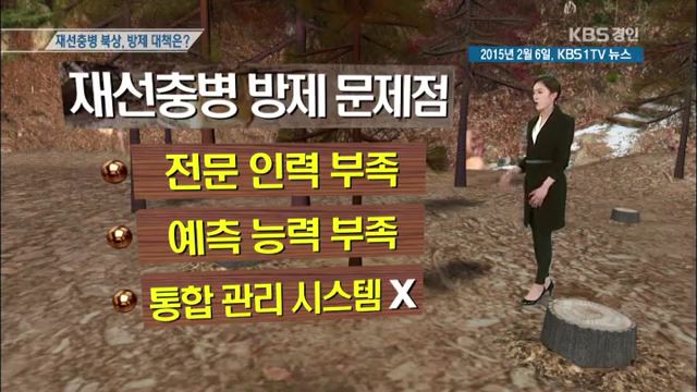 소나무인력개발 이미지