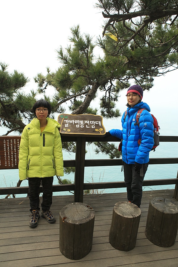 금오도 야영장 이미지