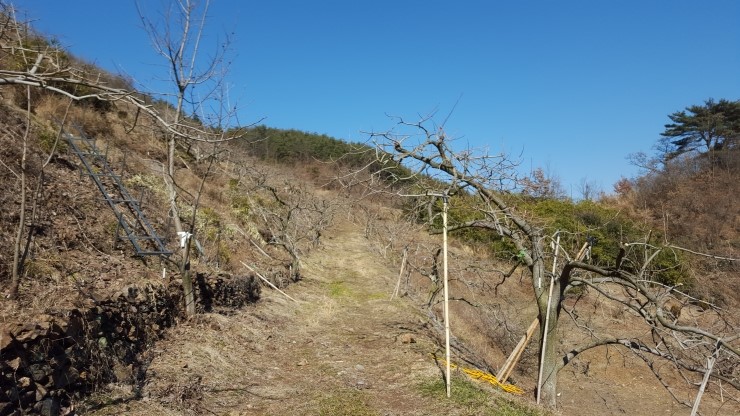 지리산 하늘농원 이미지