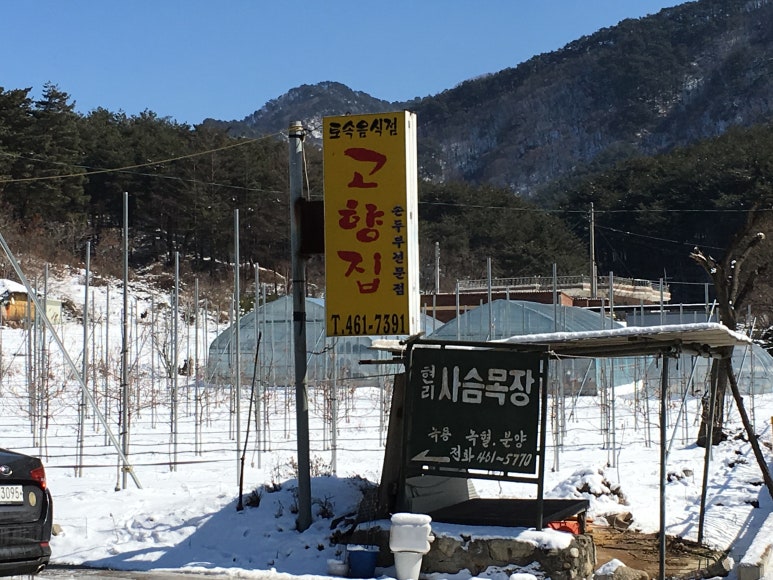 고향집 손두부 이미지