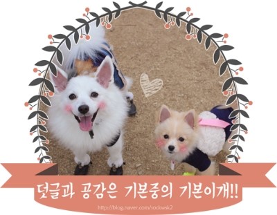 박대감화로구이문막점 이미지