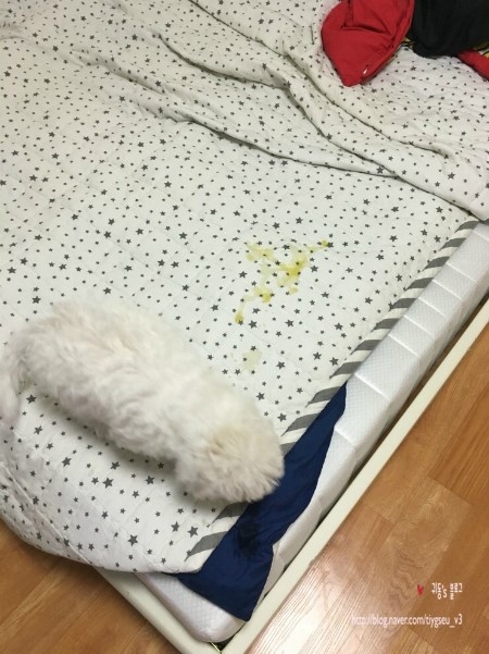 일초불닭발 이미지