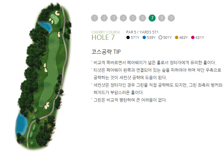 체리코스 이미지