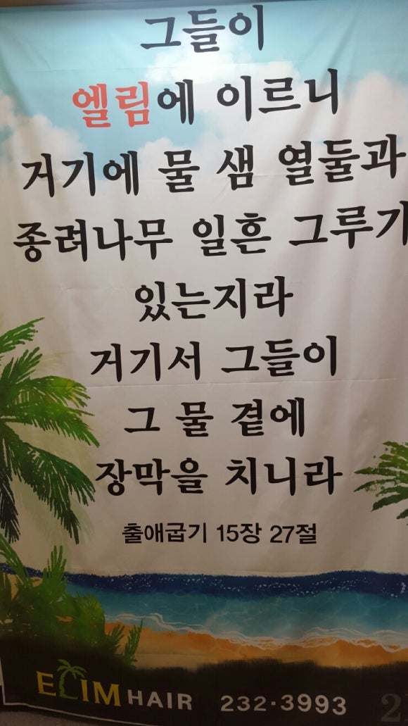 엘림헤어 이미지
