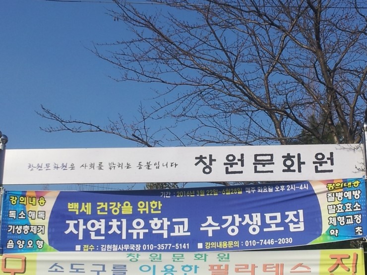 참조자연치유 이미지
