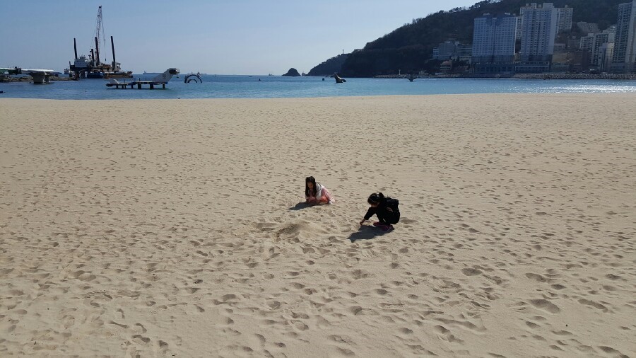 삼겹데이 이미지