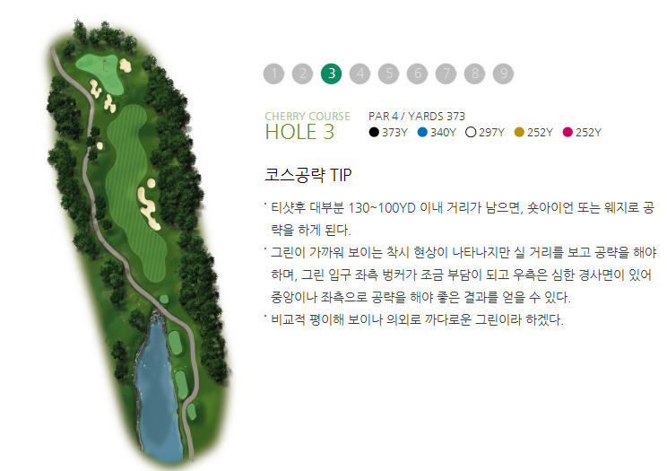 체리코스 이미지