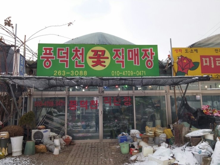 풍덕천꽃직매장 이미지
