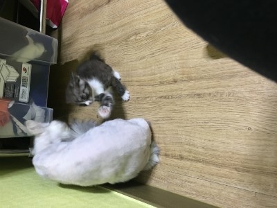 설아네미용실 이미지