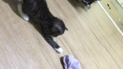 설아네미용실 이미지