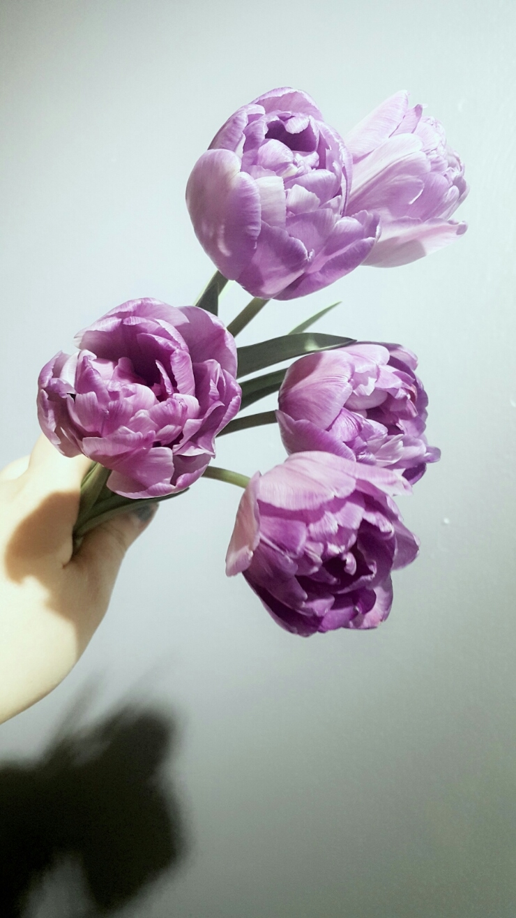 수요일꽃집 이미지