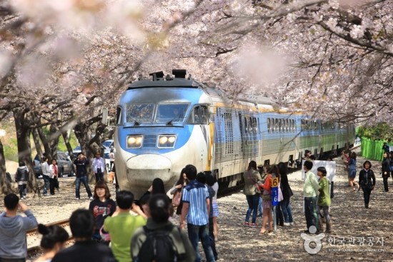 뉴부산 이미지