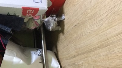 설아네미용실 이미지