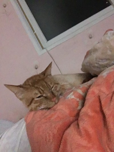 설아네미용실 이미지