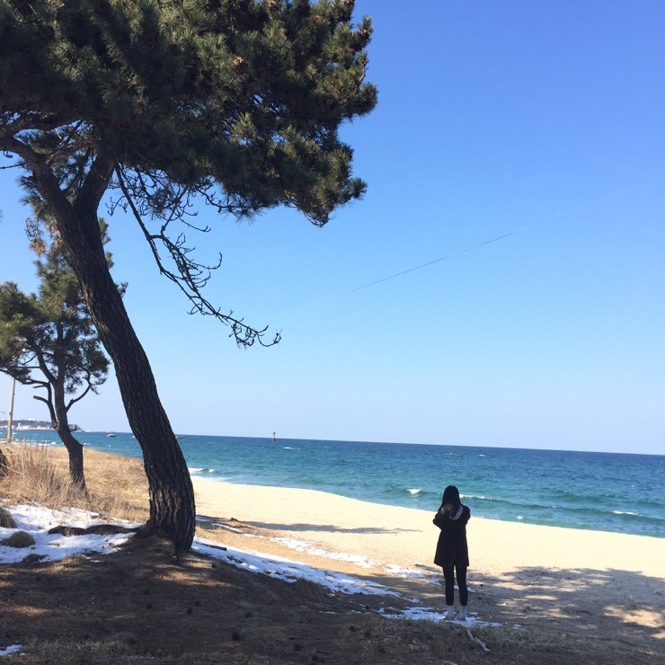 코미치바다펜션 이미지