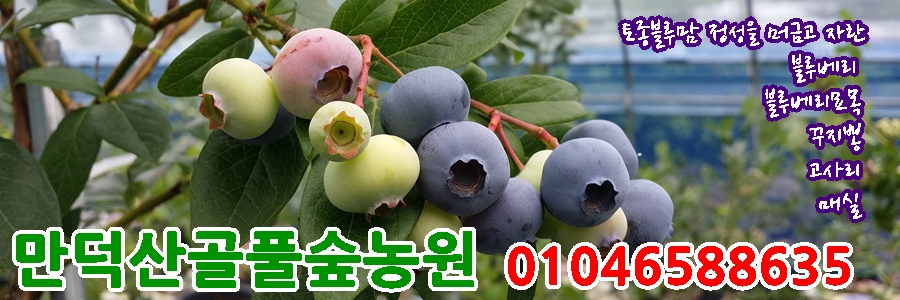 카페폴라리스 이미지