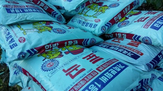 왕베리농원 이미지