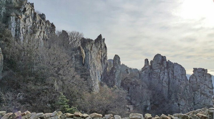해남에다녀왔습니다 이미지