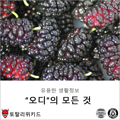 엘케이푸드(주) 이미지