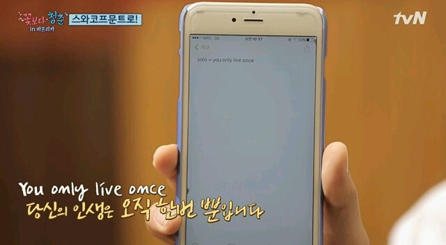데이그래피 이미지