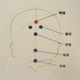 애니테라피 이미지