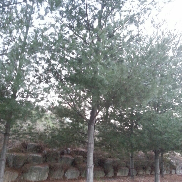 함열아사달공원 이미지