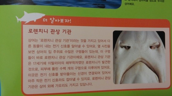 (주)자연의 신비 이미지