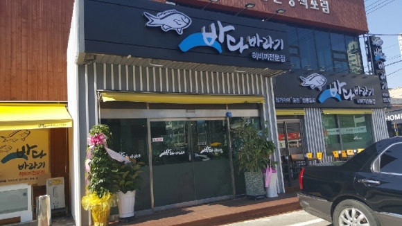 바다 바라기 이미지