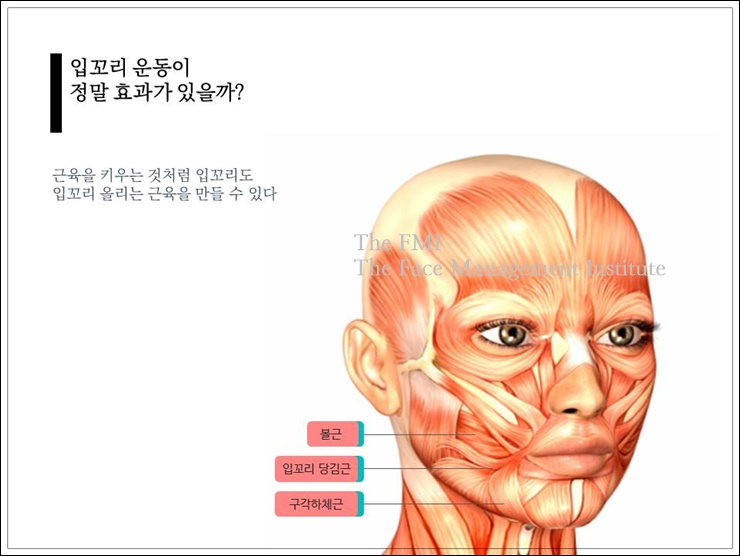 근육을 키우는 것처럼 입꼬리도 올리는 근육 만들 수 있어요 : 네이버 블로그