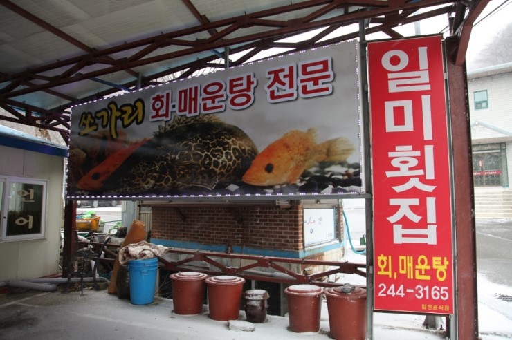 일미횟집 이미지