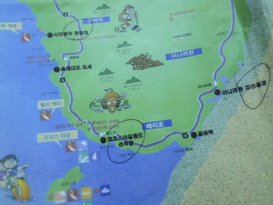 코코스 이미지