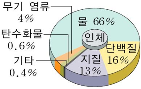 (중요 개념) 1-3. 생명체를 구성하는 기본 물질 : 네이버 블로그