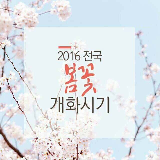 봄꽃헤어 이미지