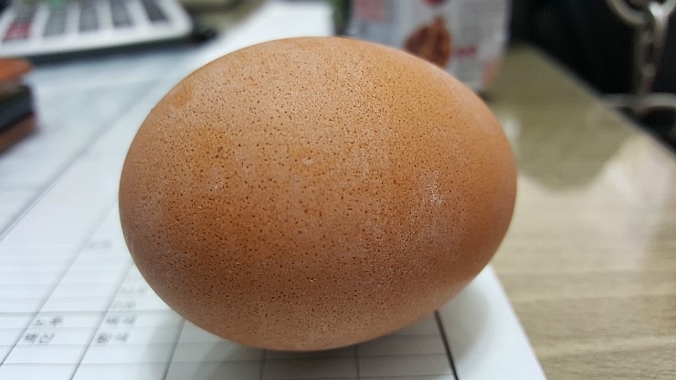 화승상사 이미지