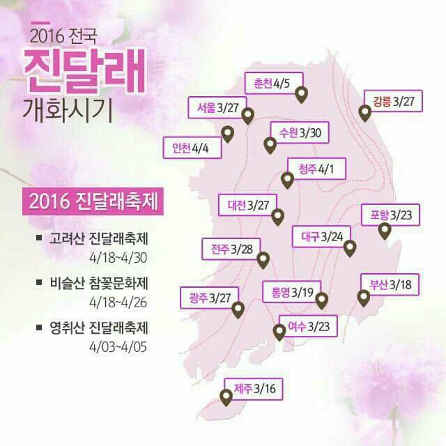 봄꽃헤어 이미지