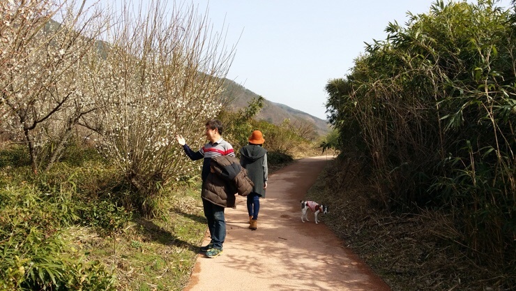 지리산녹차별펜션 이미지