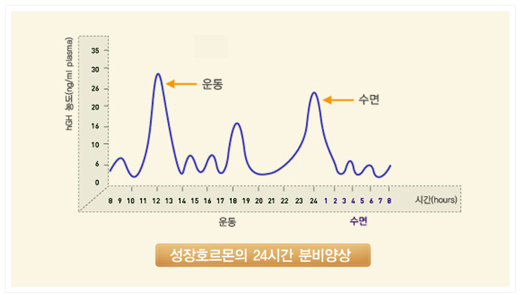 키네스 이미지
