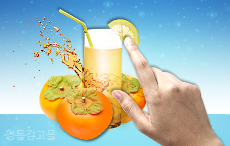 영동감 협동조합 이미지